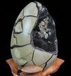 Septarian Dragon Egg Geode - Black Crystals #71987-3